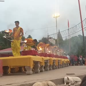 VID_20190717_051936.mp4